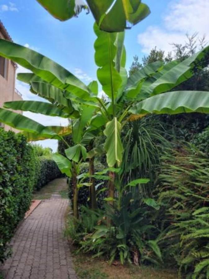 Nice Studio 30 M With Terrace And Pool Antibes Eksteriør bilde